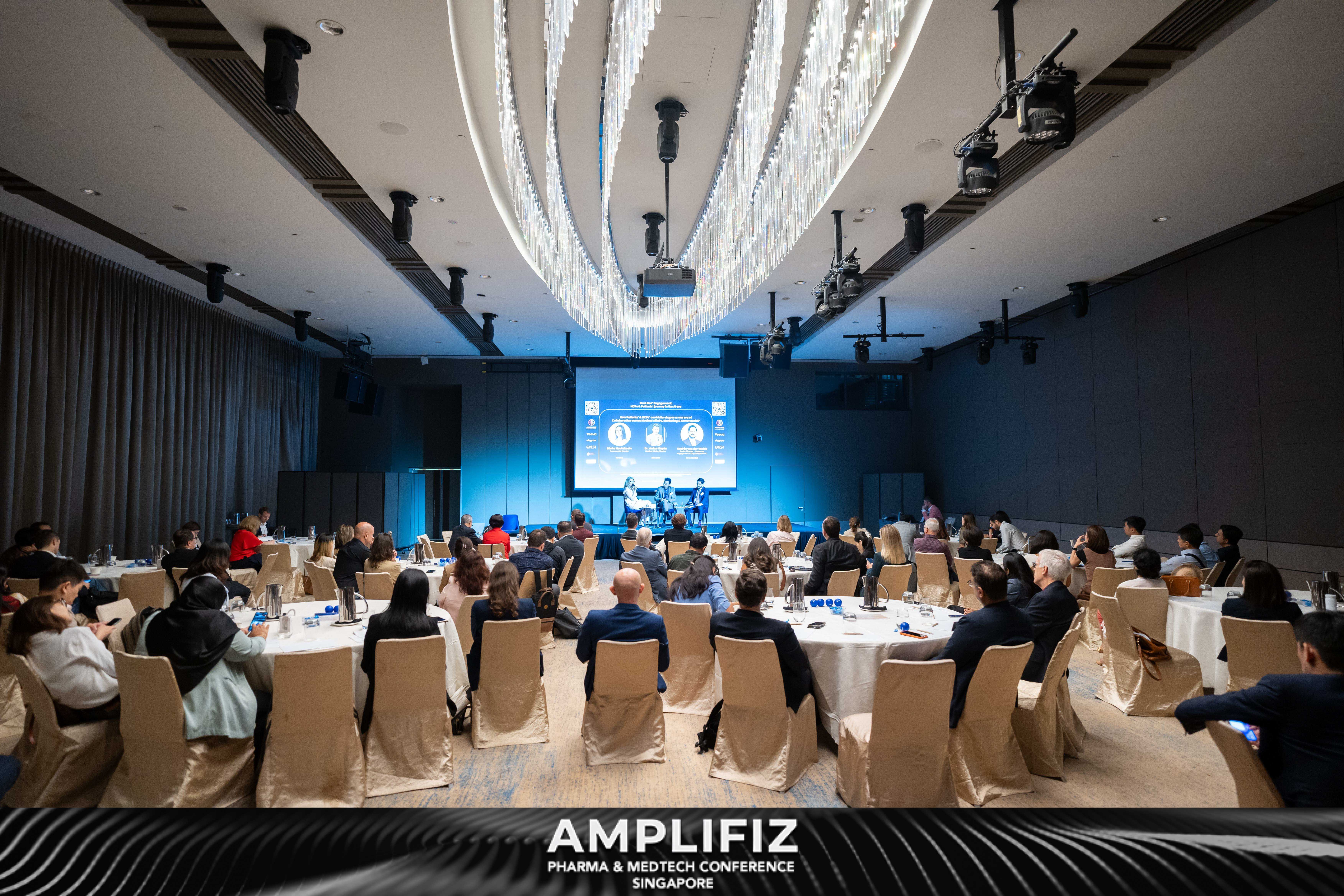 Amplifiz_20251211_0277